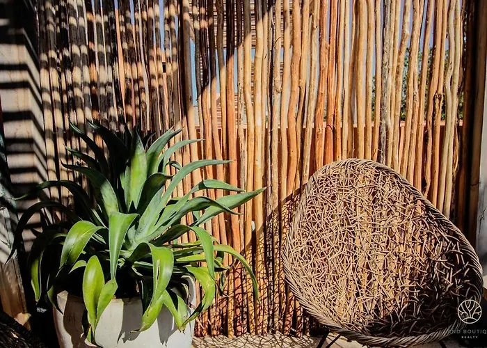 The Savia House - Rooftop & Gym Tulum